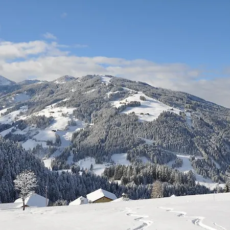 Schattauer 4*
