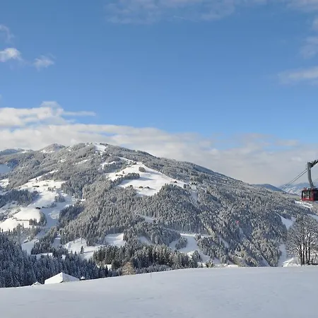 Schattauer Hotel 4*